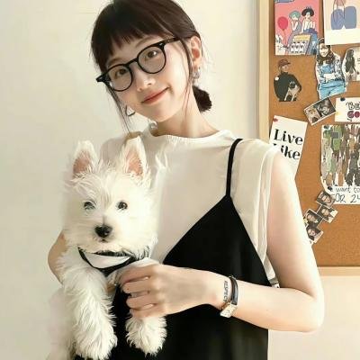 兔子大冒险